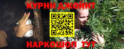мдпв Бийск