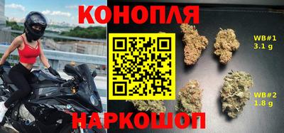 мдпв Бийск