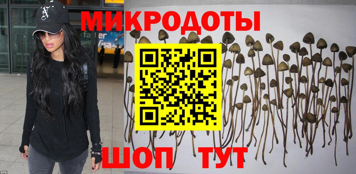 Кашира  Галлюциногенные грибы Magic Shrooms  купить наркоту  Вход с VPN  Галлюциногенные грибы мицелий 